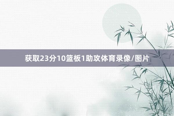 获取23分10篮板1助攻体育录像/图片