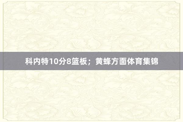 科内特10分8篮板；黄蜂方面体育集锦